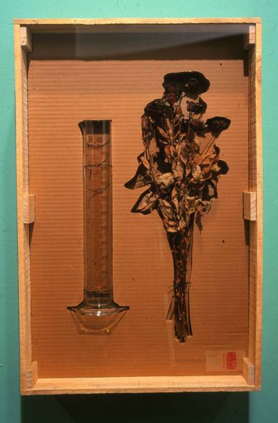 Apophenia 2004 by Benedict Ernst